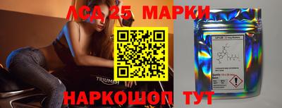 гидра Будённовск