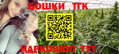 гидра Будённовск