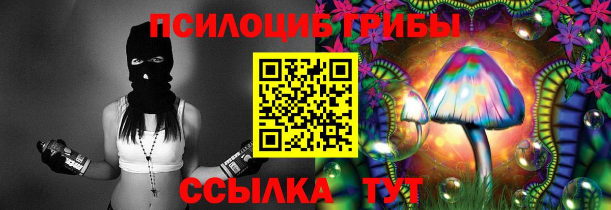 Спасск-Дальний  Псилоцибиновые грибы ЛСД  Вход с VPN 